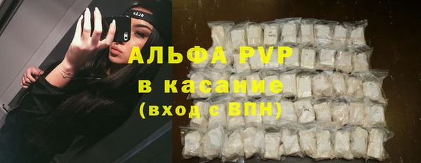 PSILOCYBIN Дмитров