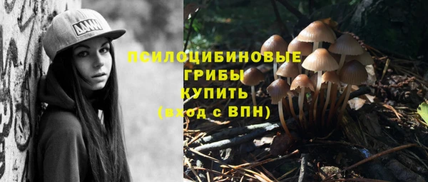 мет Алзамай